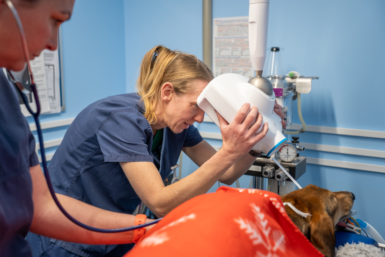 Shearbridge Veterinary Centre (Web) 2026-04 015