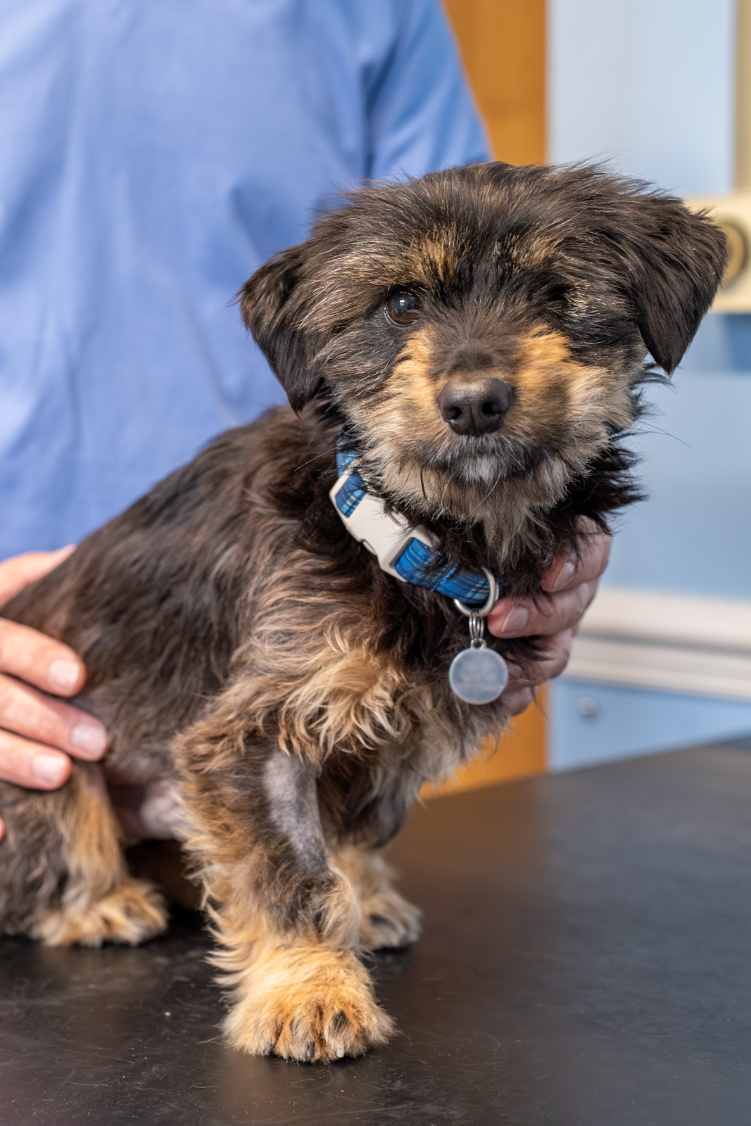 Shearbridge Veterinary Centre (Web) 2026-04 024