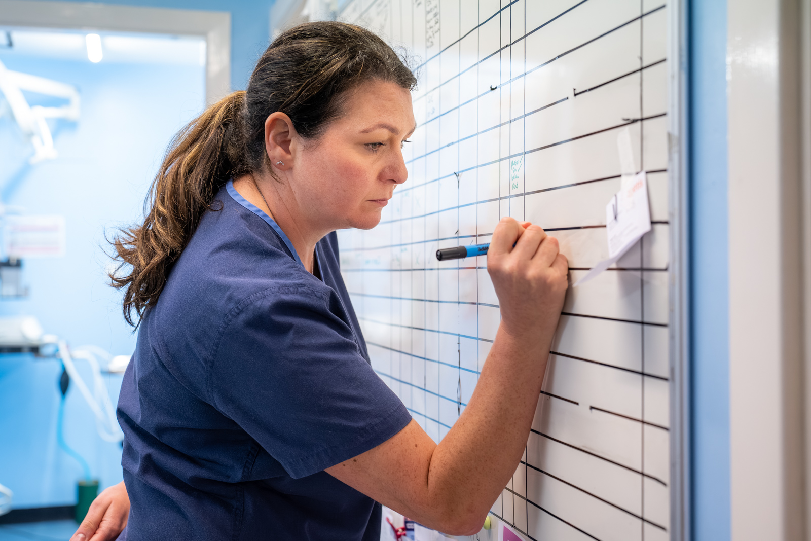 Shearbridge Veterinary Centre (Web) 2026-04 027