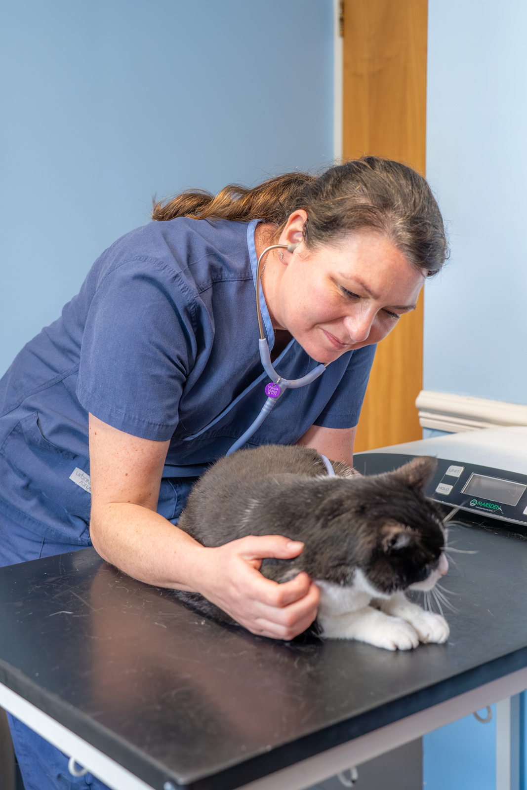 Shearbridge Veterinary Centre (Web) 2026-04 072