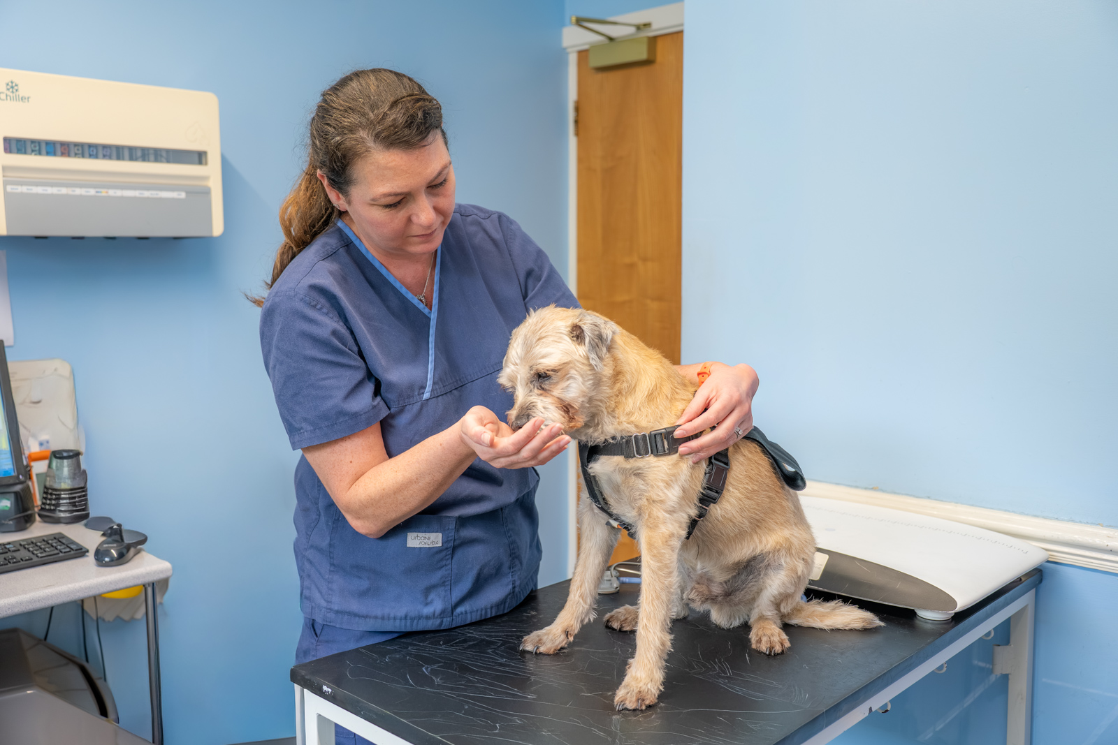 Shearbridge Veterinary Centre (Web) 2026-04 074