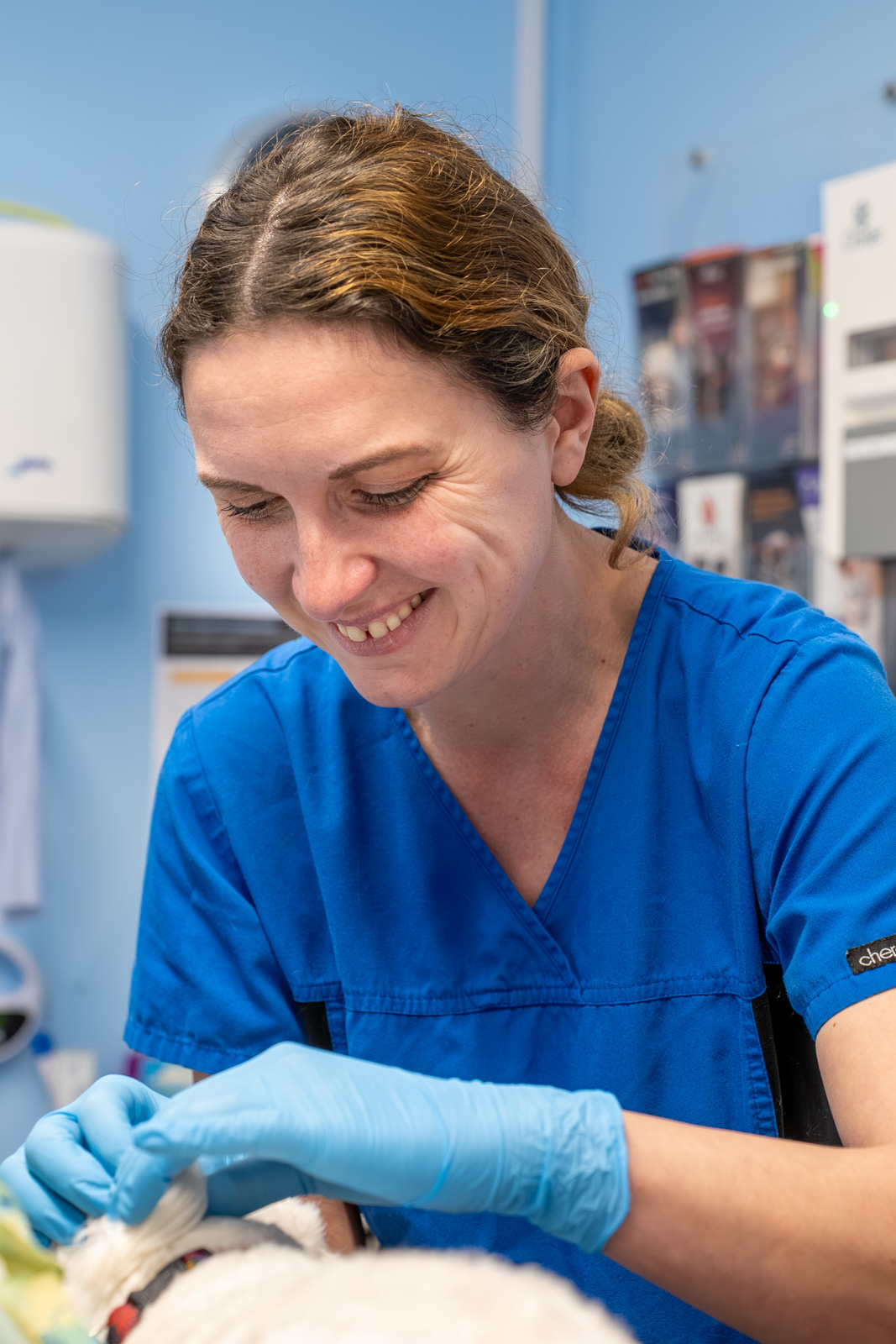 Shearbridge Veterinary Centre (Web) 2026-04 081